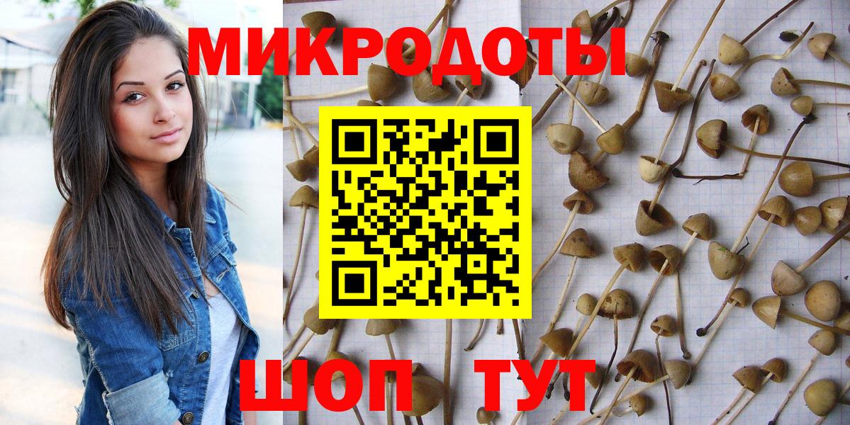 Галлюциногенные грибы Cubensis Новый Уренгой