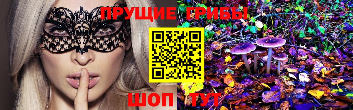 Новый Уренгой  Псилоцибиновые грибы Psilocybe  Вход с VPN 