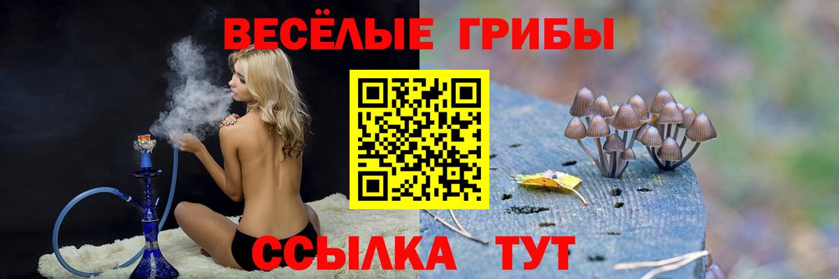 МЕФ кристаллы  НБОМе  КОКАИН  Новый Уренгой  ГАШИШ  Марихуана  Меф  Вход с VPN 